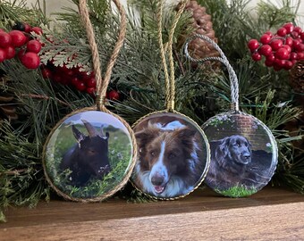 Custom Pet Ornament - Double Sided Photo Custom Ornament