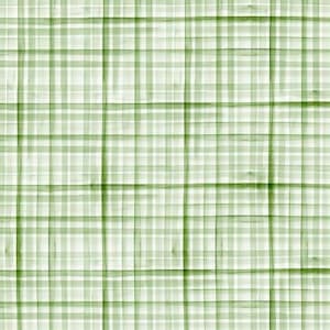 May include: A green and white checkered pattern background.