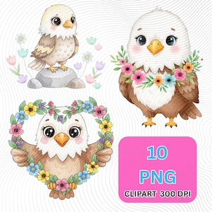 Floral Eagle Clipart PNG: Boho Bird Illustration (Digital Download)