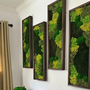 Moss Wall Art