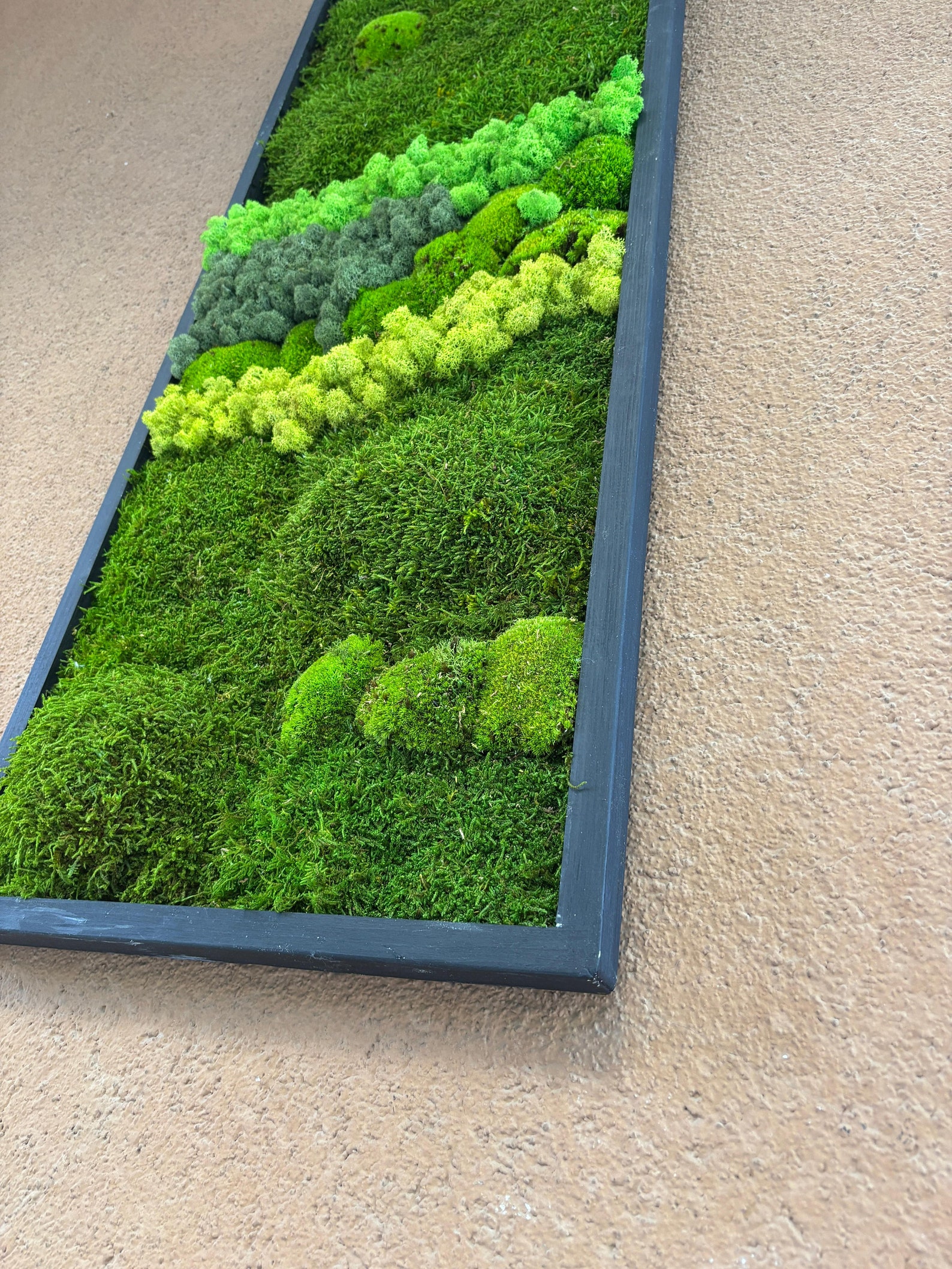 premium-handmade-preserved-moss-wall-art-zero-maintenance-long-lasting
