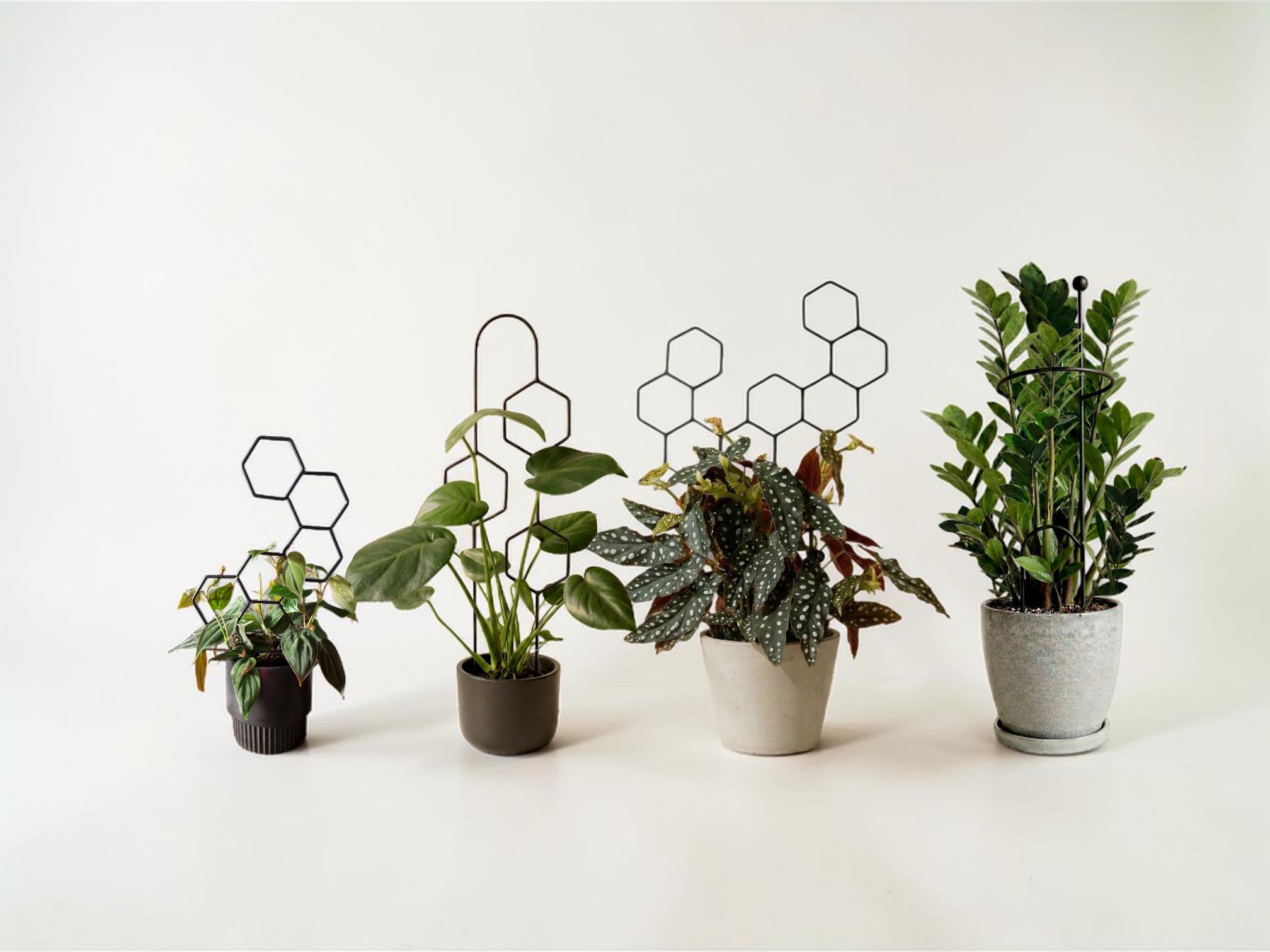 Hexa Line Pflanzensttze | 60 cm | Schwarz | Designer-Blumenleiter | Fr  Kletterpflanzen, Monstera, Hoya | Pflanzenzubehr - Etsy.de