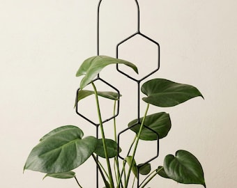 Hexa Line | 60cm | Black | Plant trellis, plant support for monstera, hoya | Home decor, plant accessories, green design for plantlovers