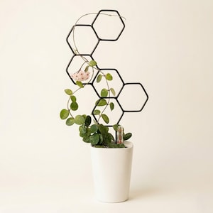 Op de afbeelding: Een witte keramische pot met een groene plant en een zwart metalen trellis in honingraatontwerp. De plant heeft kleine, ronde groene bladeren en een paar roze bloemen. Een kleine glazen ampul is in de grond gestoken.