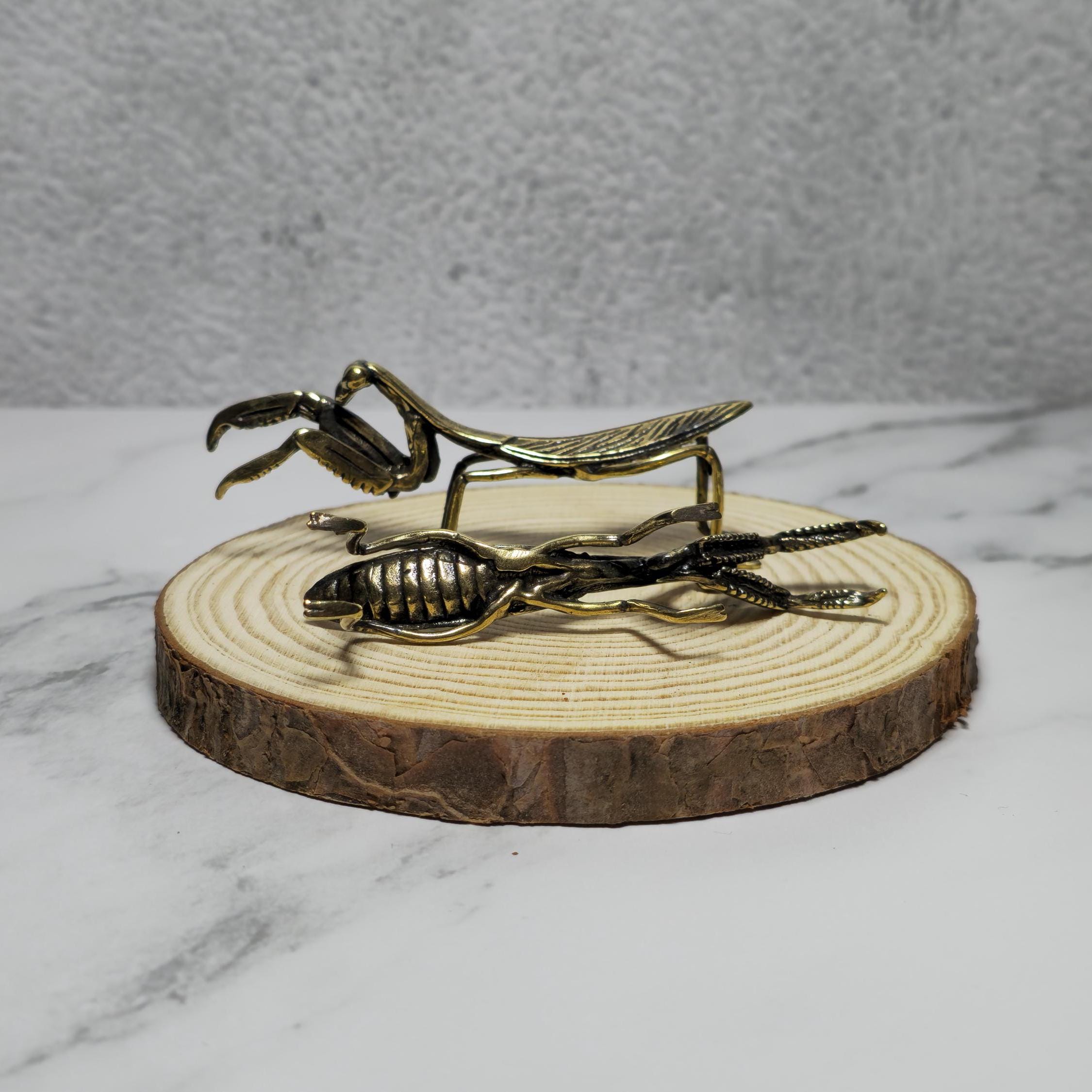 Kupferne Feng Shui Gottesanbeterin – Messing-Statuette Für Garten, Innenhof & Deko, Ca. 2,8 Cm