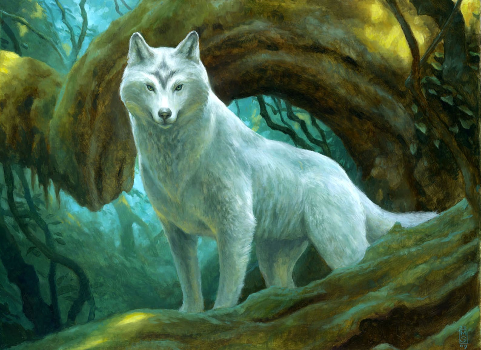 Заколдованный волк. Волки МТГ арт. Белый волк в славянской мифологии. Волк фэнтези. Мифические волки.