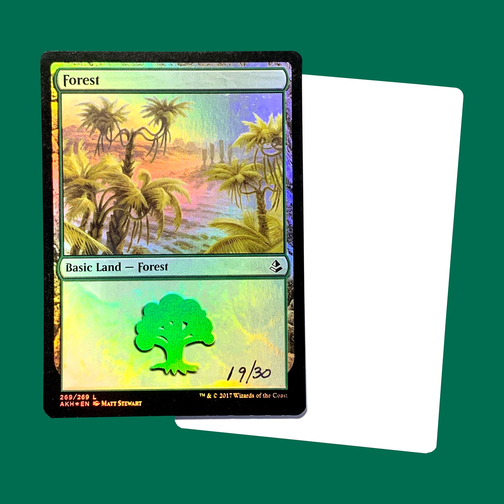 best card draw in green mtg MTG Magic The Gathering 20 Assorted Foil Land - 4 Forest, Island, Mountain,  Plains, Swamp : Buy Online at Best Price in KSA
