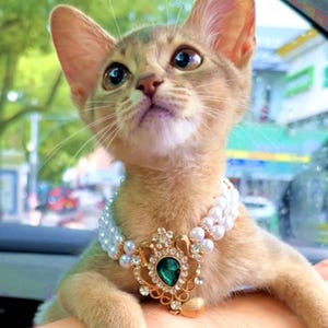 Luxury Double-Layer Vintage Gem & Pearl Pet Collar for Cats Dogs – Elegant Princess Necklace for Pet Birthday, Wedding Holiday Gift