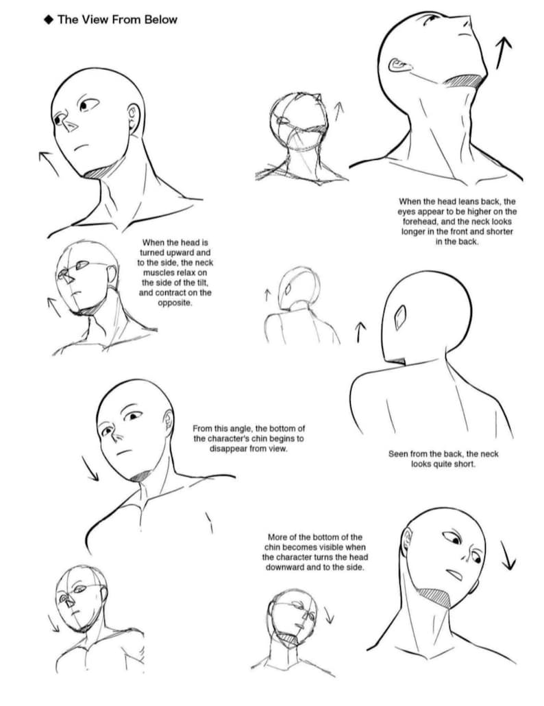 How to Draw Manga | 200+ Illustrations - Etsy