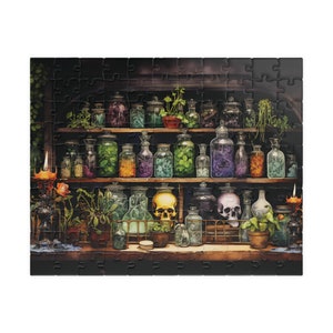 The Witch's Apothecary Jigsaw Puzzle, Dark Academia Shelves of Poison & Skulls, Scary Halloween Puzzle, Spooky 1000 Piece Puzzle for Adults