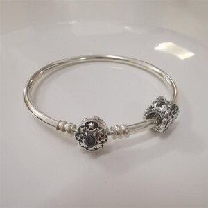 pandora s925 ale &#39;s aladdin and jasmine charm and bangle set