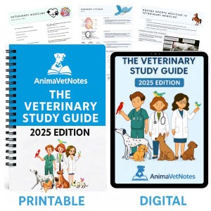 Puede incluir: Un cuaderno de espiral y una tableta que muestran "The Veterinary Study Guide 2025 Edition" de AnimaVetNotes. El cuaderno tiene una cubierta azul con una ilustración de un perro. La tableta muestra una caricatura de veterinarios con animales. Las palabras "PRINTABLE" y "DIGITAL" están debajo.