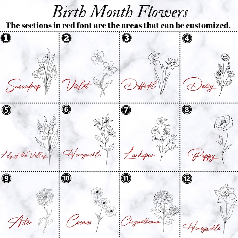 May include: An image showcasing birth month flowers, each in a separate box. The image includes the names of the flowers: Snowdrop, Violet, Daffodil, Daisy, Lily of the Valley, Honeysuckle, Larkspur, Poppy, Aster, Cosmos, Chrysanthemum, and Honeysuckle.