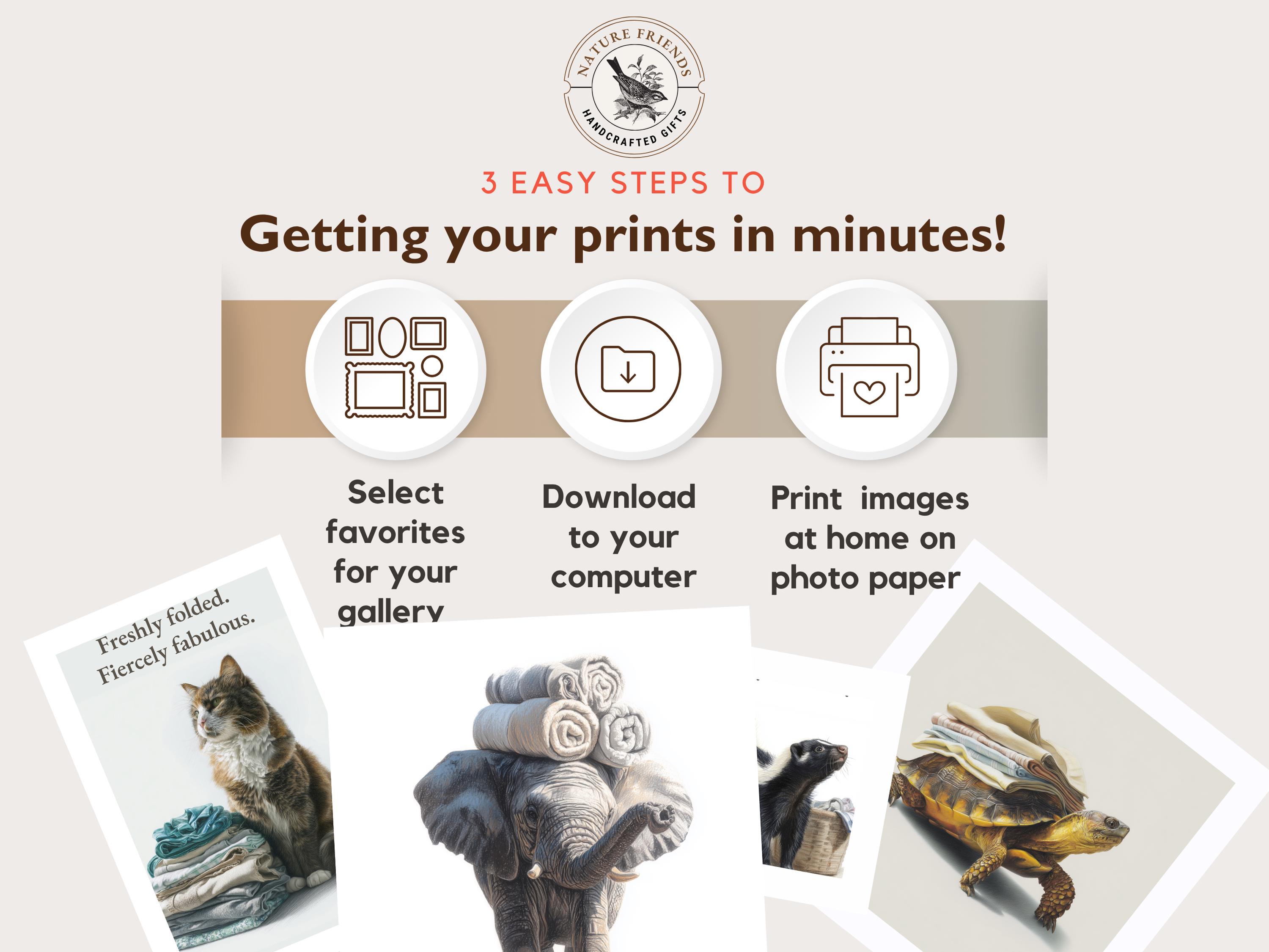 Funny Elephant Laundry Room Poster: Whimsical Home Wall Art (digital ...