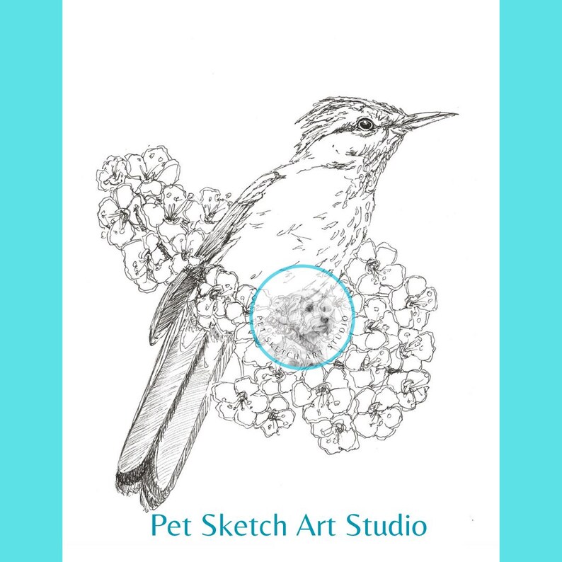 Pet Portrait Pencil Drawing, Graphite Pencil, Colored Pencil