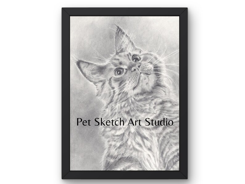 Pet Portrait Pencil Drawing, Graphite Pencil, Colored Pencil