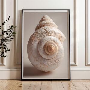 May include: A framed print featuring a detailed close-up of a large, spiral-shaped seashell. The shell displays a range of neutral tones, from creamy white to light brown, with intricate textures and patterns. The artwork is displayed in a black frame.