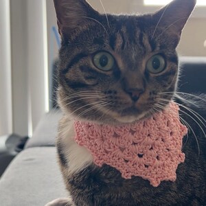 Puede incluir: Un gato atigrado con un pañuelo rosa tejido a ganchillo. El gato tiene ojos verdes y marcas blancas en el pecho. El pañuelo es de color rosa claro y tiene un borde festoneado.