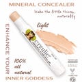 Organic Concealer Stick | Acne Safe | Extra Coverage | Non Toxic Makeup Essential