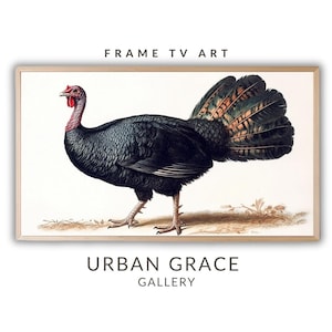 Turkey Frame TV Art | Digital Download Art | Samsung Thanksgiving Vintage Farmhouse Decor | Winter Digital Illustration Screen Saver