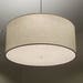 see more listings in the Drum Light Fixtures section