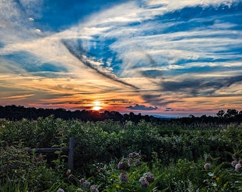 Summer sunset
