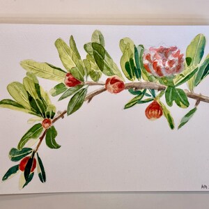 Original watercolor, Flowers of pomegranate