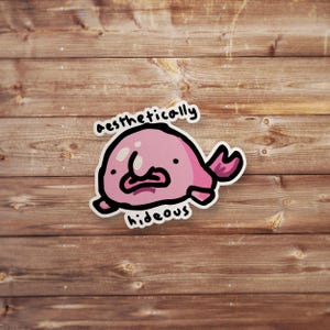 Ugly Meme Sticker, Funny Sticker, Funny Meme Decal For Water Bottles, Cars, Laptops, Tumblers, Hydroflask, Silly Stickers