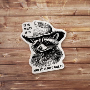 May include: A black and white illustration of a raccoon wearing a cowboy hat. The raccoon has a serious expression on its face. The text "IT IS WHAT IT IS AND IT IS NOT GREAT" is printed below the raccoon.