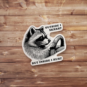 Außen skrrrt ich Aufkleber, drinnen tu ich weh, lustiger Waschbär Meme, sarkastischer Trash Panda, Vinyl-Autoaufkleber, Laptop Wasserflasche Dekor