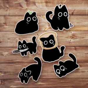 Black Cat Meme Sticker Pack, Funny Sticker, Funny Meme Decal For Water Bottles, Cars, Laptops, Tumblers, Hydroflask, Silly Stickers