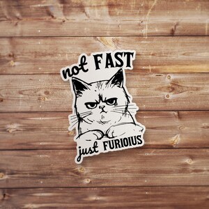 Not Fast Just Furious Sticker β Grumpy Cat Meme Vinyl Decal for Water Bottles, Laptops, Journals, Tumblers & Gifts