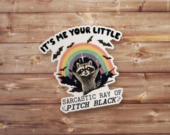 Sarcastic Raccoon Stickers, funny humor series silly illustration collection with expressive designs for laptops tumblers cups
