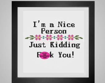 I'm a Nice person - funny adult saying grandma style sampler subversive cuss word naughty - pdf cross stitch pattern -  -INSTANT DOWNLOAD