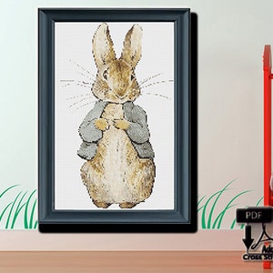 May include: A framed cross-stitch pattern of Peter Rabbit wearing a blue jacket and standing on a white background.