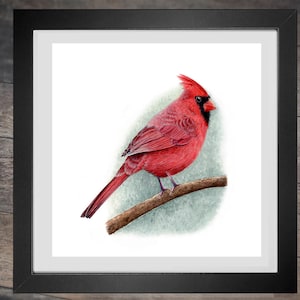 Kreuzstichvorlage Red Cardinal pdf Kreuzstichmuster Kreuzstich Stickvorlage pdf kreuzstich natur vogel winter weihnachten hübsch x stich lol stickerei INSTANT DOWNLOAD