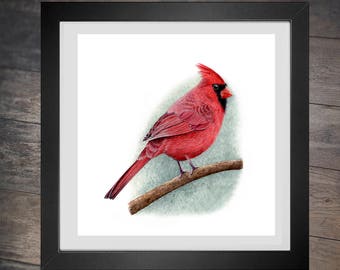 Cross Stitch Pattern Red Cardinal pdf counted crossstich nature bird winter christmas pretty  x stitch lol embroidery INSTANT DOWNLOAD