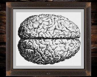 Anatomical Brain Top View - PDF cross stich pattern - INSTANT DOWNLOAD