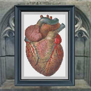 Anatomical Heart - PDF cross stich pattern - INSTANT DOWNLOAD