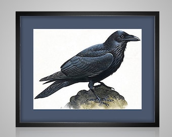 Cross Stitch Pattern Raven pdf counted crossstitch tutorial needlework x stitch vintage nevermore modern needlecraft  INSTANT DOWNLOAD