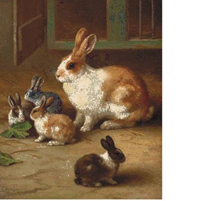 bunny pdf images bunny pdf images