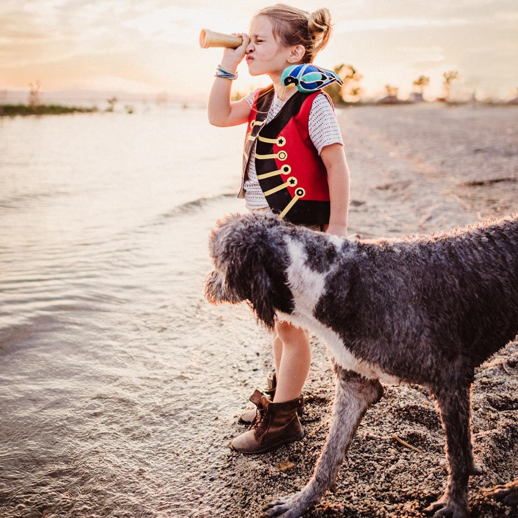 Unisex Red and Black Pirate Vest for Kids, Removable Parrot and Treas…
