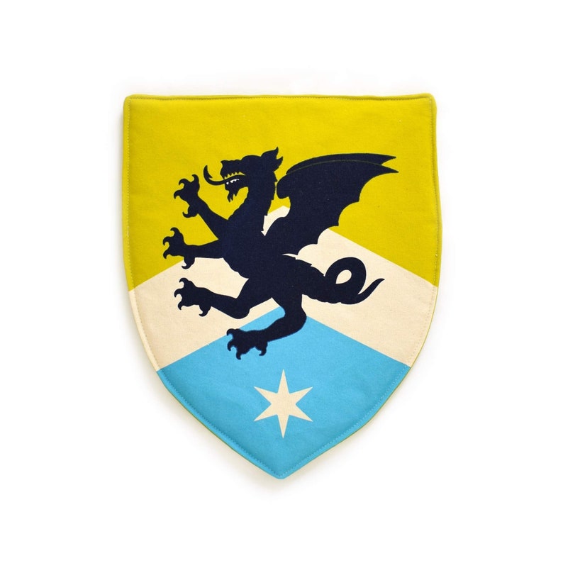 Dragon Knight Shield, Blue and Green Shield, Gift for Boys image 1