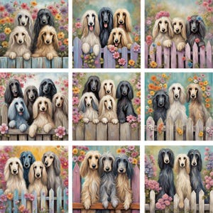 Puede incluir: Un collage de nueve imágenes con Afghanos. Cada imagen muestra tres perros de pie frente a una valla de madera con flores. Los perros son de diferentes colores, incluyendo negro, marrón, blanco y gris. Las flores son de color rosa, morado y amarillo.