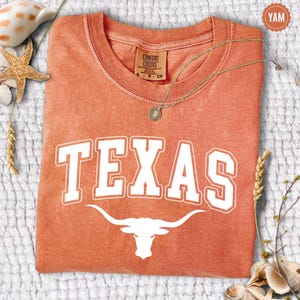 May include: A burnt orange t-shirt with the word "TEXAS" in white block letters and a white longhorn silhouette. The shirt has a crew neck and short sleeves. A gold necklace with a pendant is draped across the shirt.