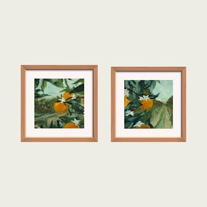 Orange Grove (Set)- Fine Art DIGITAL PRINT