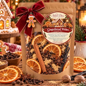 Pentola per stufati al pan di zenzero, potpourri natalizio da fornello, profumo per la casa durante le feste, regalo natalizio accogliente, pensierino per la calza di Natale, pentola per stufati natalizi