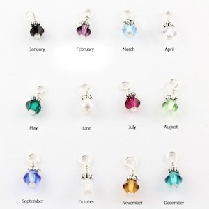 May include: Twelve silver charms with crystal stones representing each month of the year. January is a dark purple stone, February is a light purple stone, March is a light blue stone, April is a clear stone, May is a dark green stone, June is a white stone, July is a dark red stone, August is a light green stone, September is a light blue stone, October is a clear stone, November is a gold stone, and December is a light blue stone.