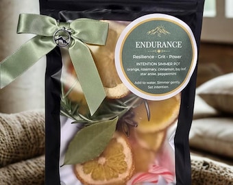 Endurance Simmer Pot Kit with Crystal - Strength & Resilience Ritual - Stovetop Potpourri - Grounding Simmering Pot -Includes Mountain Charm