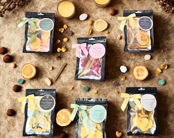 Kit de olla de cocción lenta con cristal y dije - Popurrí para estufa - Olla de cocción lenta - Calentador de velas - Bendición, protección y sanación del hogar